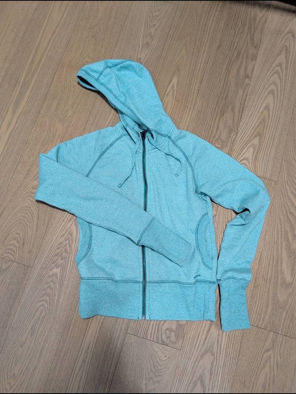 Patagonia light teal zip hoodie jacket